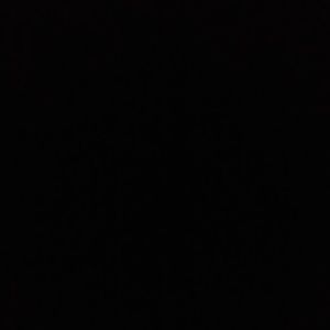 Meet your Posher, Thalia